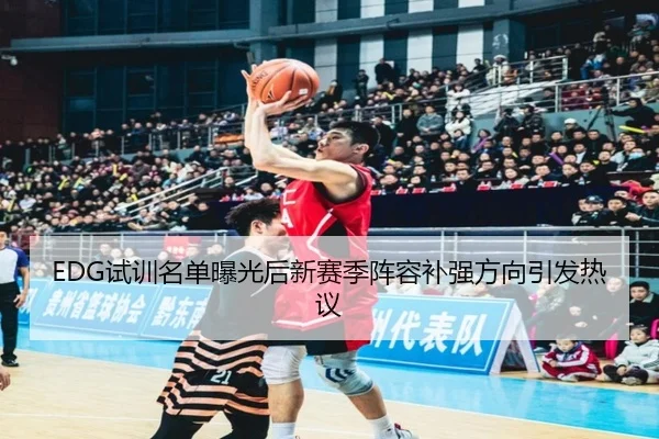 EDG试训名单曝光后新赛季阵容补强方向引发热议